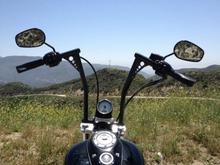 Angeles National Forrest