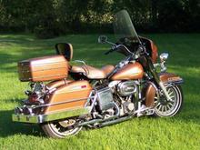 The Brown Bear