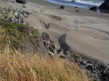 COAST 8
