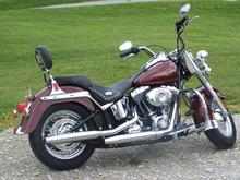 Look away!  My struts are showing!