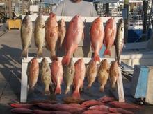 Panama City Beach 04/24/2006 Me and my catch