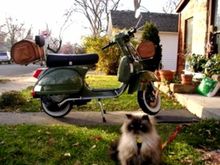 other two wheelers