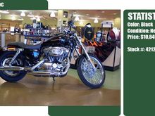 My Harley 1200C In Gator Harley