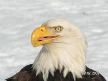 495