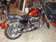 I wouldn't ask for anything more for a first Harley.