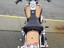 mustang solo