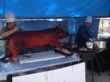 HOG