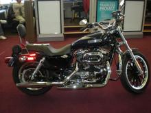 My Sportster 001