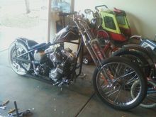 SPRINGER1