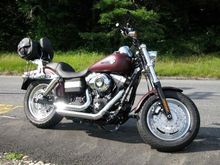 2008 FXDF