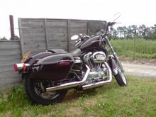 Sporty fargo 3