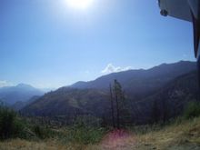 Baby pines starting to sprout amid the burned out area around Hume Lake