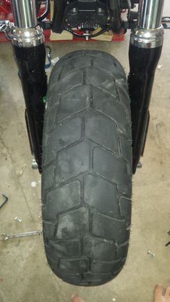 The rear wheel up front