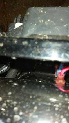 patched into fan power line via a piggyback slide connector.