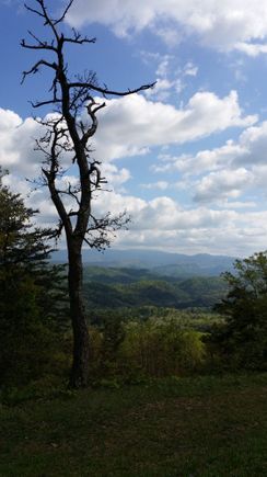 Foothills Parkway near Gatlinburg, TN 4.23.16