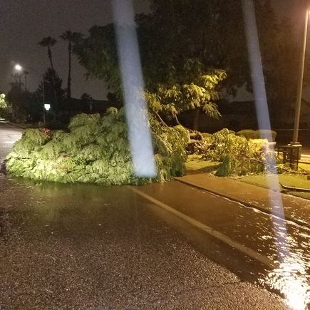 Here is just a small glimpse of the aftermath of the monsson. I passed about 5 downed trees during my one mile trip to wallymart to get zip ties and hogh strength fishing line to pull the wires with.