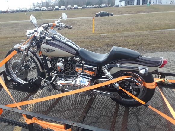 Oddly webbed onto the trailer coming home.