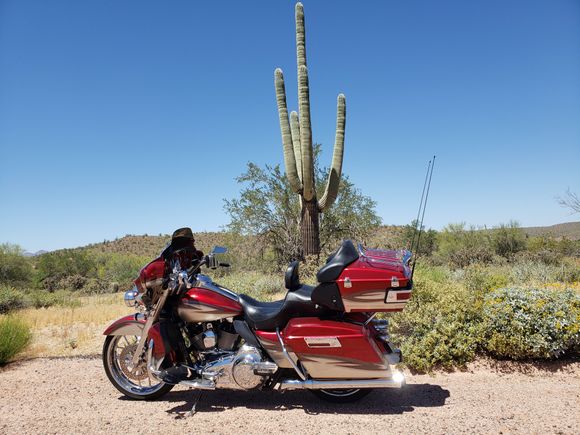 '09 Ultra Classic near Saguaro Lake, AZ