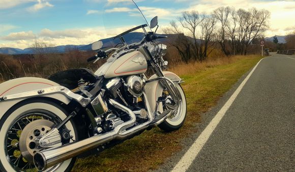 Chilly morning in Canterbury, New Zealand on my 94.  