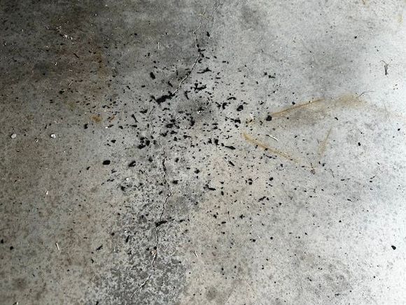 Belt dust on floor