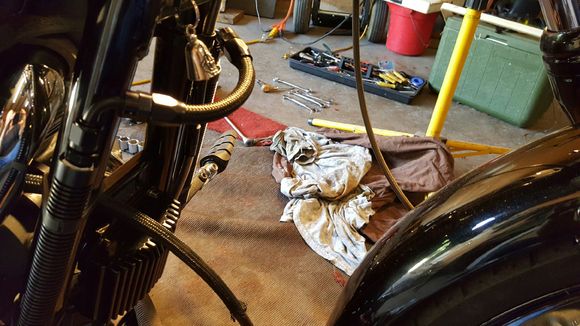 Fender / wheel is straight