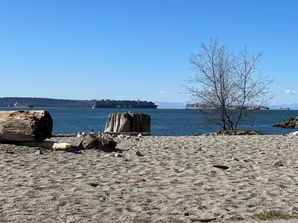 … Just down the beach there’s a nice park with some benches.