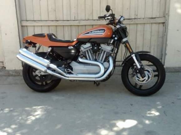 2009 XR1200. One of only 750. Acording to my paperwork, mine is supposed to be the very first one sold in Southern California. All my manuals are half in French, and half in English. After it was delivered, my Harley Davidson dealer asked me to please leave the bike at the dealership for a week so that people could see it, as no one else even had one on the floor to look at.