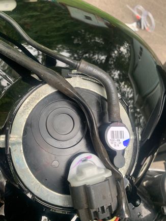 Stock vent hose and stock harness plugged into ne top plate.