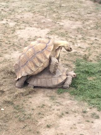 Even the old guys get it.