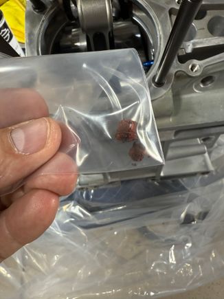 This was zip tied to the case.  Not sure what they are???