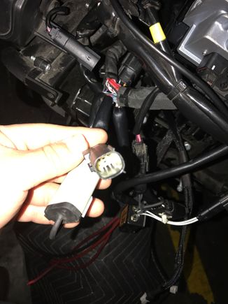 I believ this is my out put for rear speaker