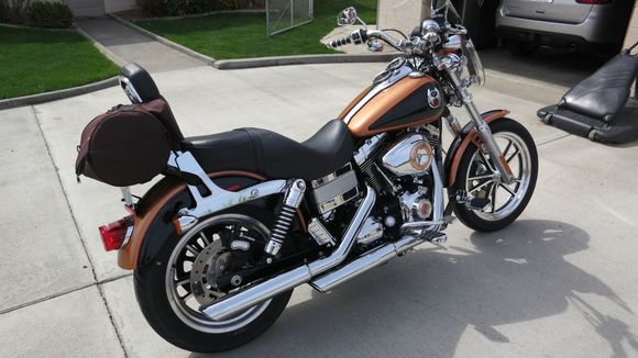 2008 Dyna Low