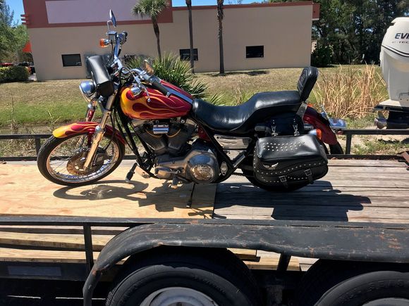 Oh then I bought her a way older little brother