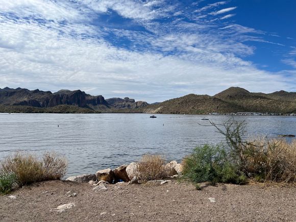 Saguaro lake