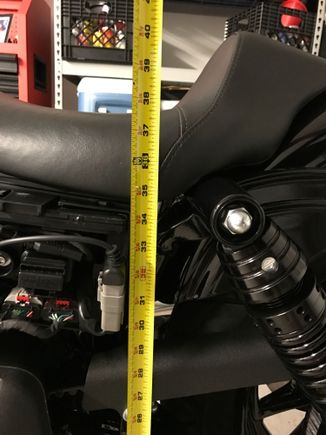 2016 FXDLS Stock Seat height