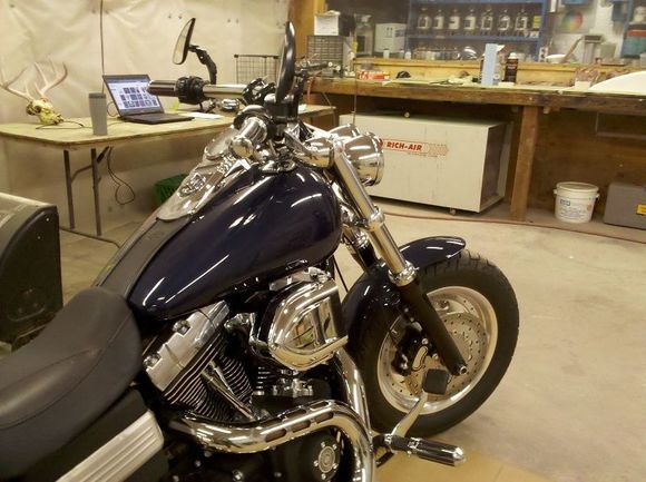 Just removed FatBob tank badge..