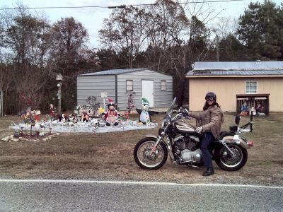xmas yard