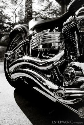 Harley2 7