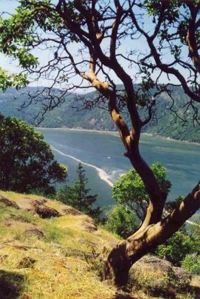 vancouver island near Victoris bc