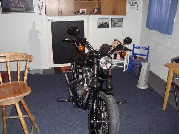 HARLEY IN THE MAN CAVE