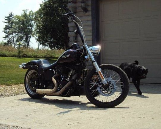 The Train getting some sun in July 2010