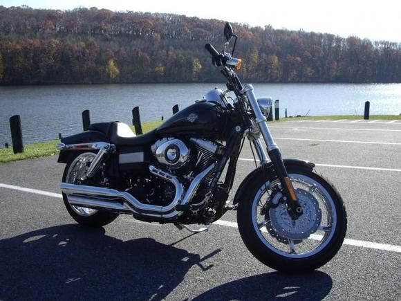 fat bob 6