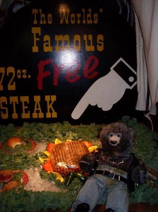 Bear is hungry