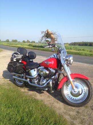 Fat Boy in he early evening sun near Squires Cafe, Sherburn in Elmet!