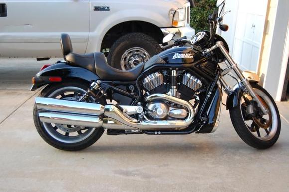 1st Harley, '06 Night Rod, 2008