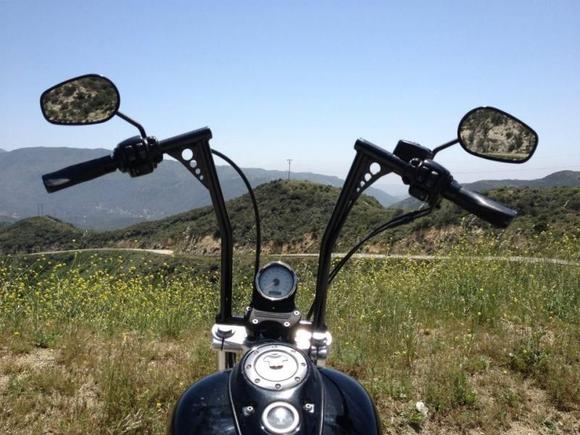 Angeles National Forrest