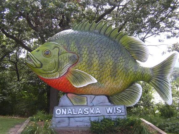 Onalaska Fish