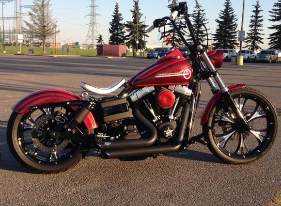 dyna street bob custom