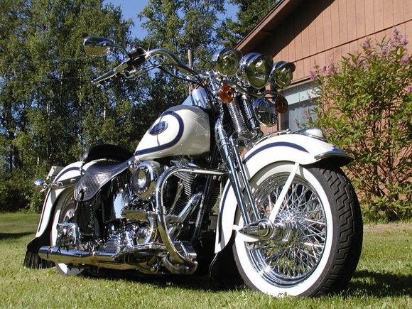 sweet springer