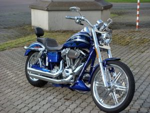The 2Up family Dyna.